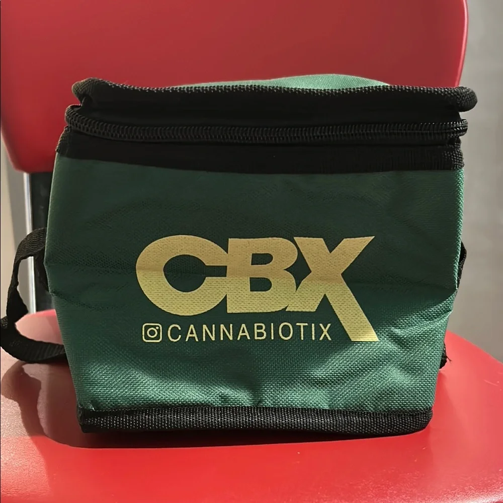 Green and Black Insulated Bag